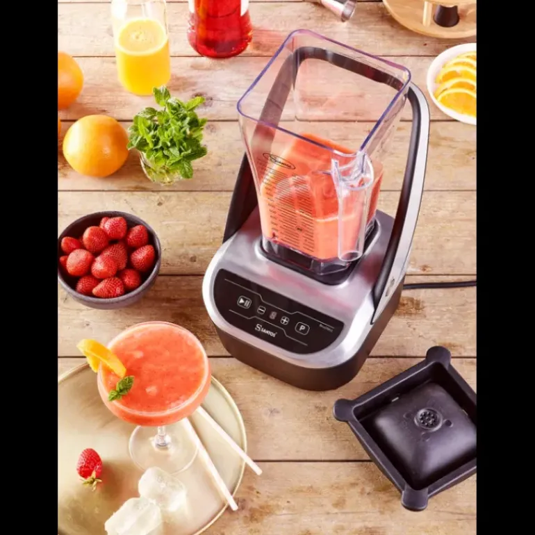 Blender Brushless CompactProfessionnel N°66 Santos
