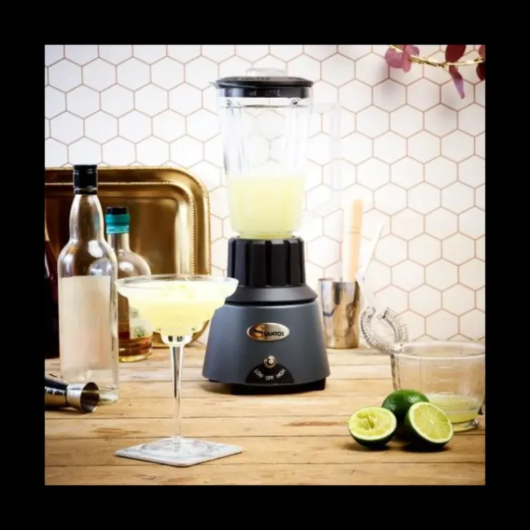 Blender de Bar 1.25 L Gris Chromé Santos n°33