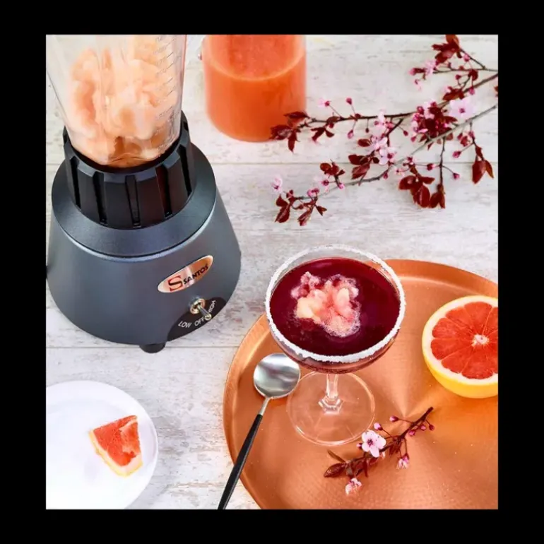 Blender de Bar 1.25 L Gris Chromé Santos n°33