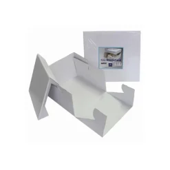 Boîte à Gâteau 22.5x22.5x15 cm