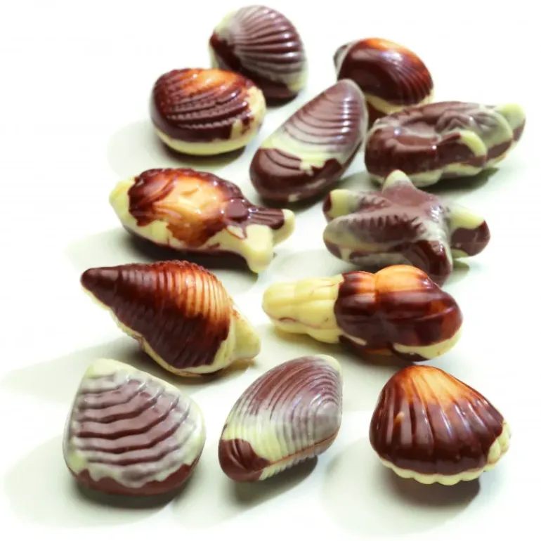 Boîte de Chocolat Fruits de Mer 3.5 kg Hamlet