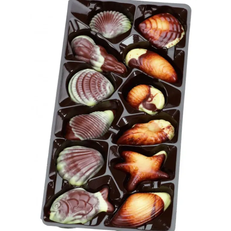 Boîte de Chocolat Fruits de Mer 3.5 kg Hamlet