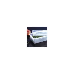 Boîte Modulus Gastronorme 1,5 litres GN 1/6 H10 cm