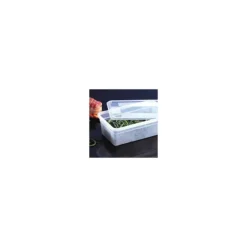 Boîte Modulus Gastronorme 7,5 litres GN 1/2 H15 cm
