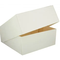 Boîte pâtissière blanche - 23 x H 5 cm - (x50)