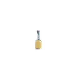 Bouchon pour Bouteille (x2)