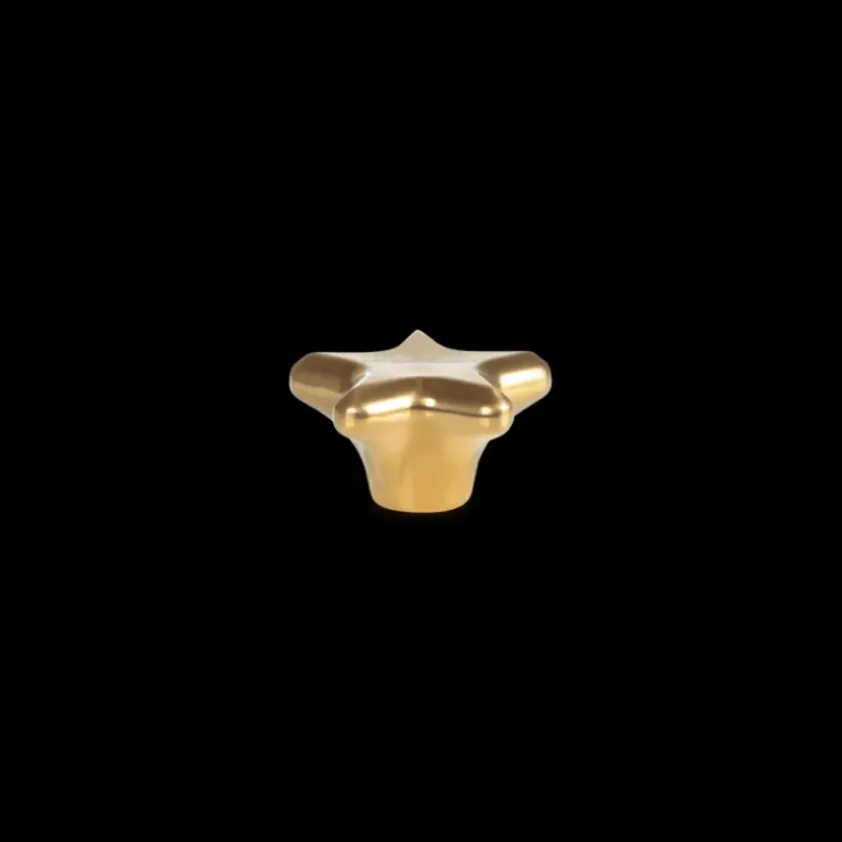 Bouton Etoile Doré Ø 5,7 cm Signature Le Creuset