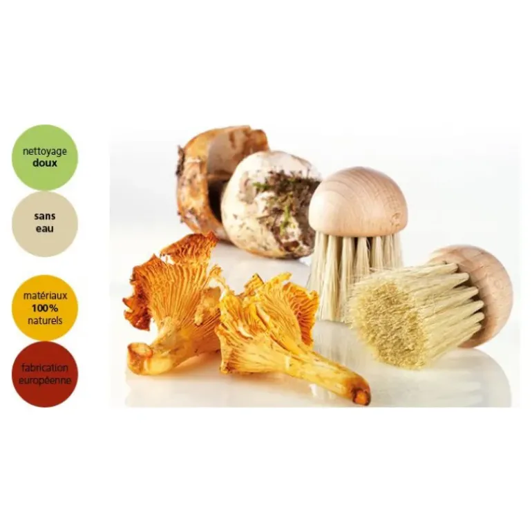 Brosse à champignons YooCook 4 cm