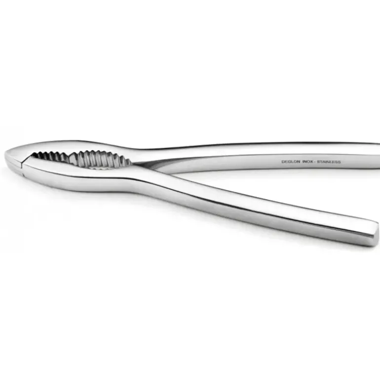 Casse Noix Pince à crustacés Inox 16 cm Déglon