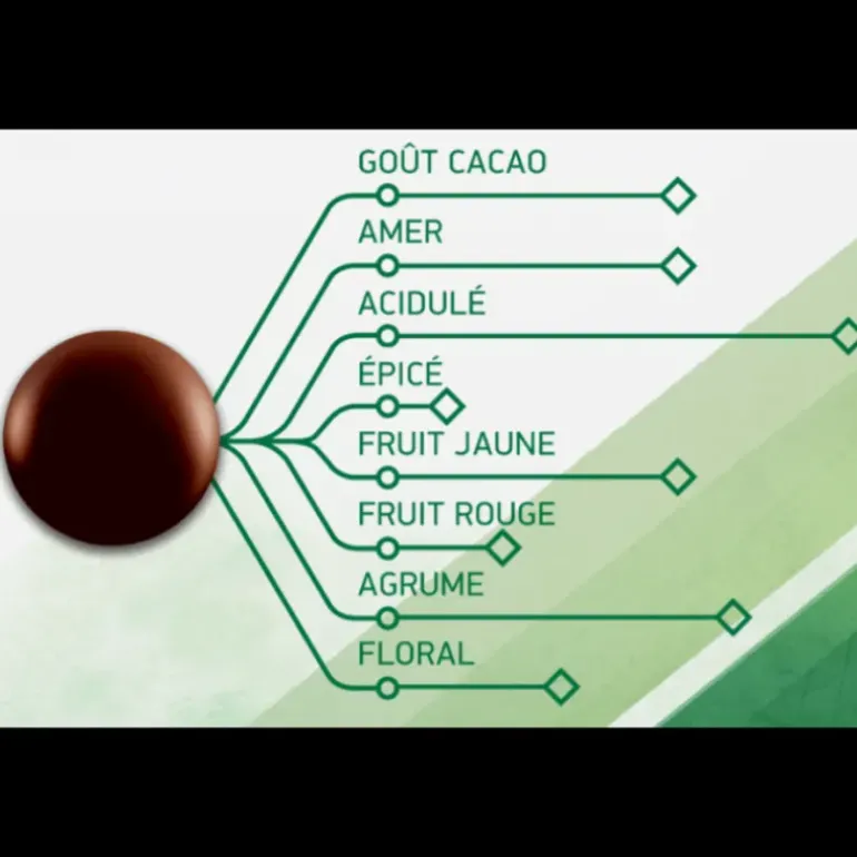 Chocolat Noir Evocao 72% 2,5 kg Barry