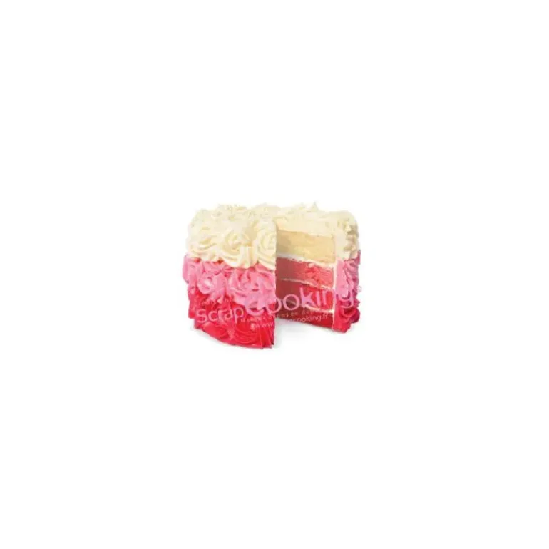 Colorant Alimentaire en Poudre Rouge 5g Scrapcooking