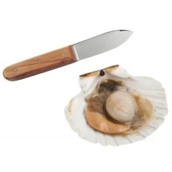 Couteau Coquille Saint Jacques La Bonne Graine Tellier