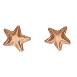 Décoration Gâteau Etoiles Bronze en Pâte à Sucre Funcakes (x24)