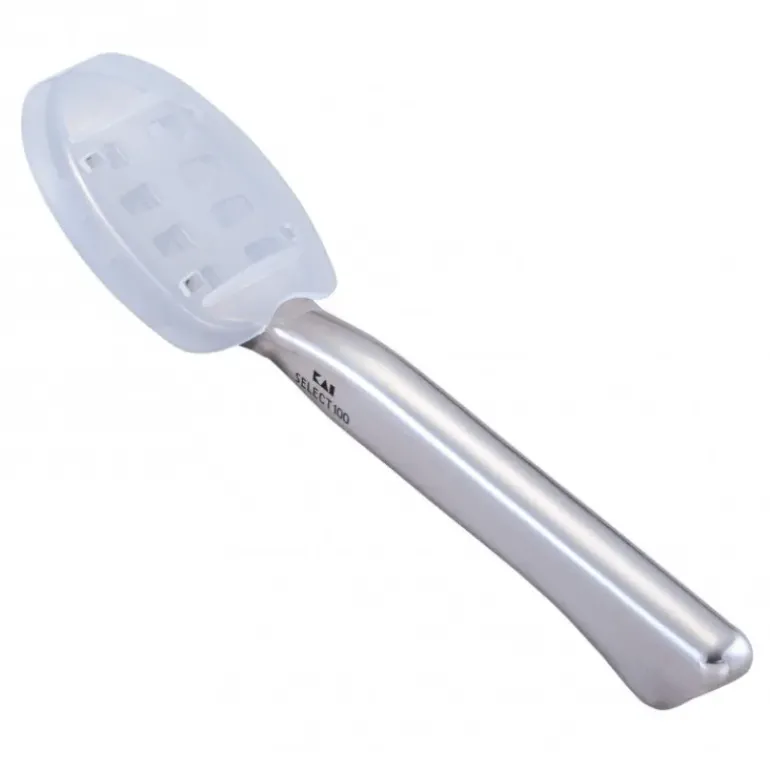 Ecailleur Inox 21 cm Select 100 Kai