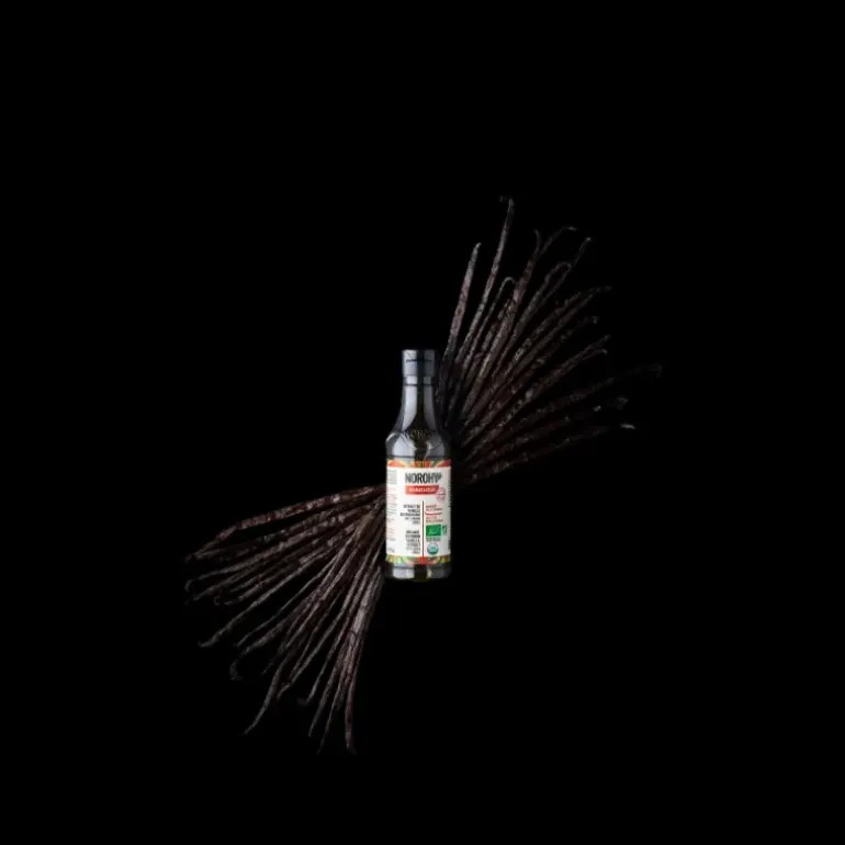 Extrait de Vanille Bio 50 ml Norohy