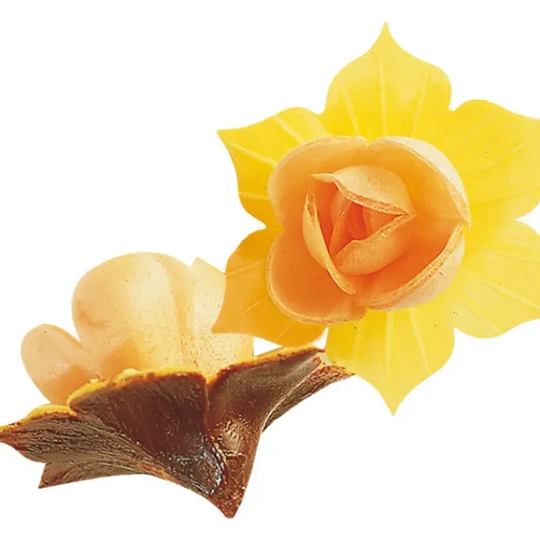 Fleurs de Jonquille orange x5 - en Azyme