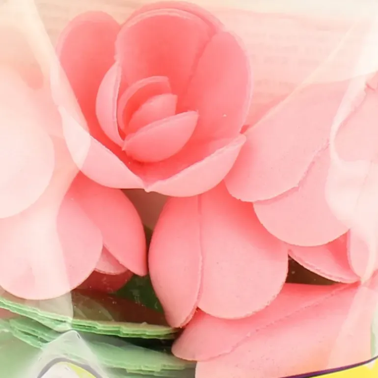 Fleurs de roses x6, grandes feuilles x12 - en Azyme