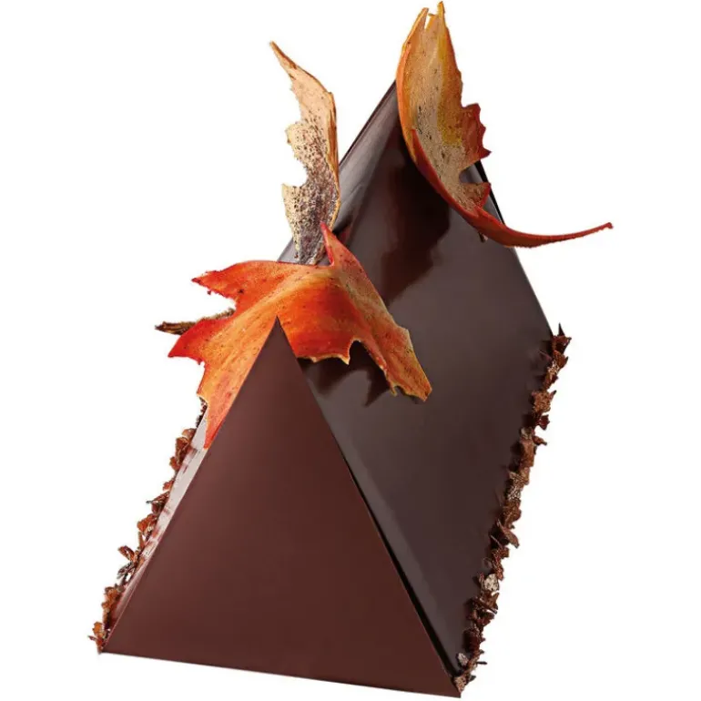 Gouttière à Bûche Triangulaire Inox 50 x 9 cm