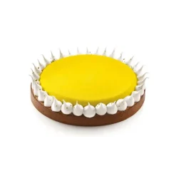 Kit Moule Silicone 1 Tarte Ø 230mm Silikomart Professional