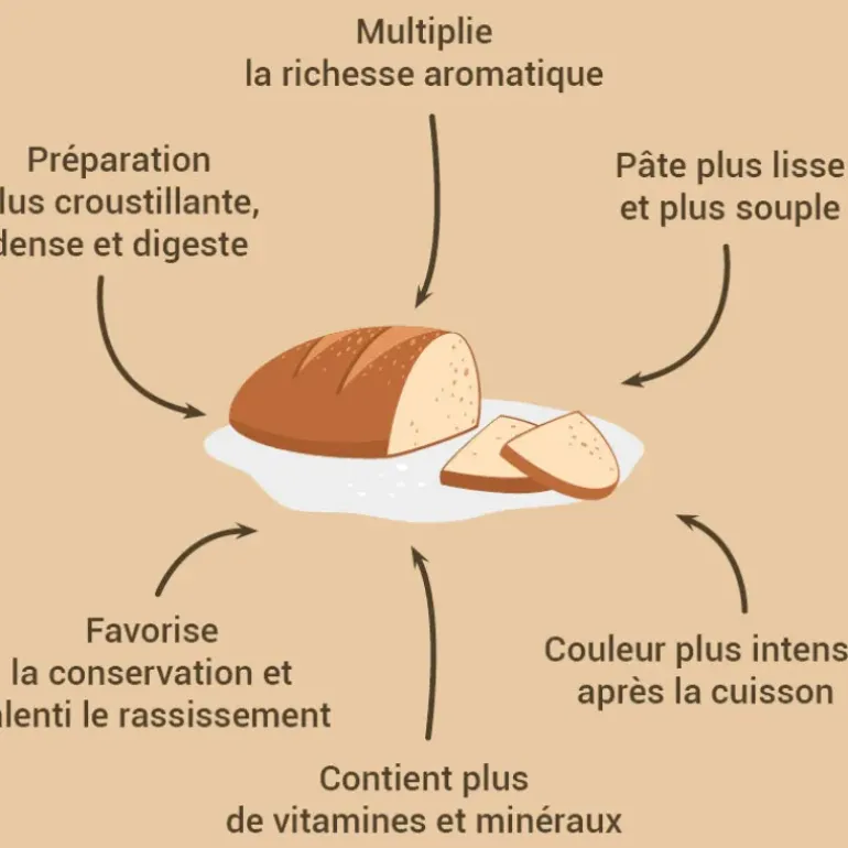 Levain de seigle et levure 150 g Patisdécor