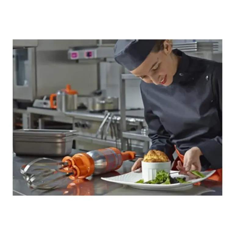 Mixeur Plongeant + Batteur Senior Combi 300 Dynamic
