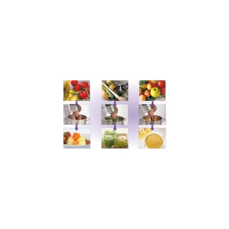 Mixeur Plongeant MP 450 Ultra Robot Coupe