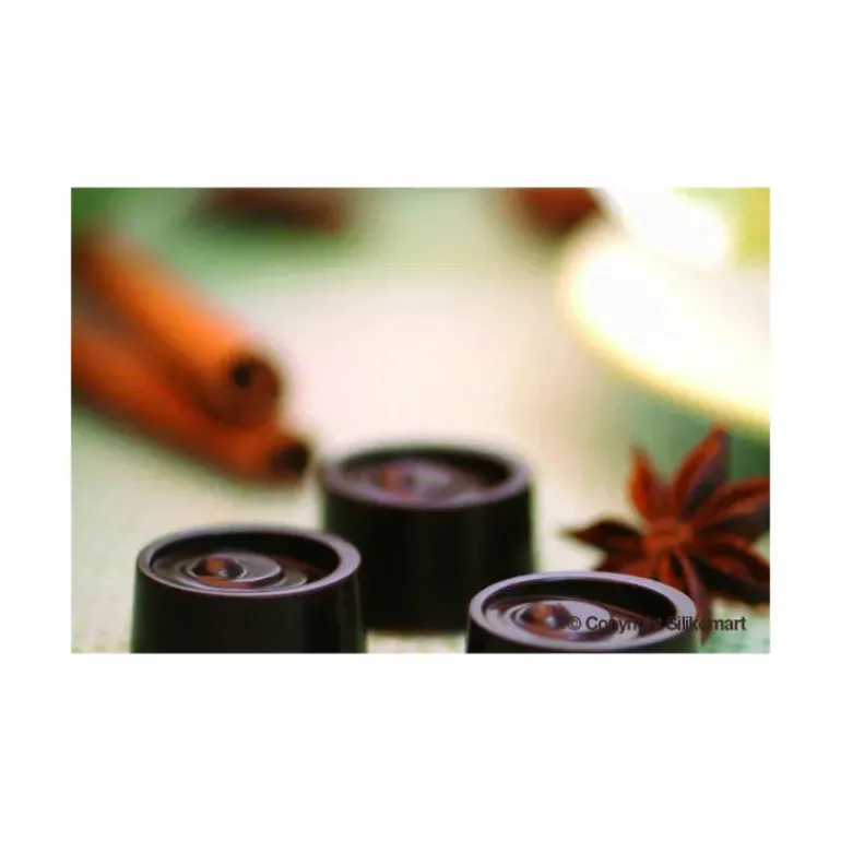 Moule à Chocolat 15 Ronds Easy Choc - Silicone Spécial Chocolat