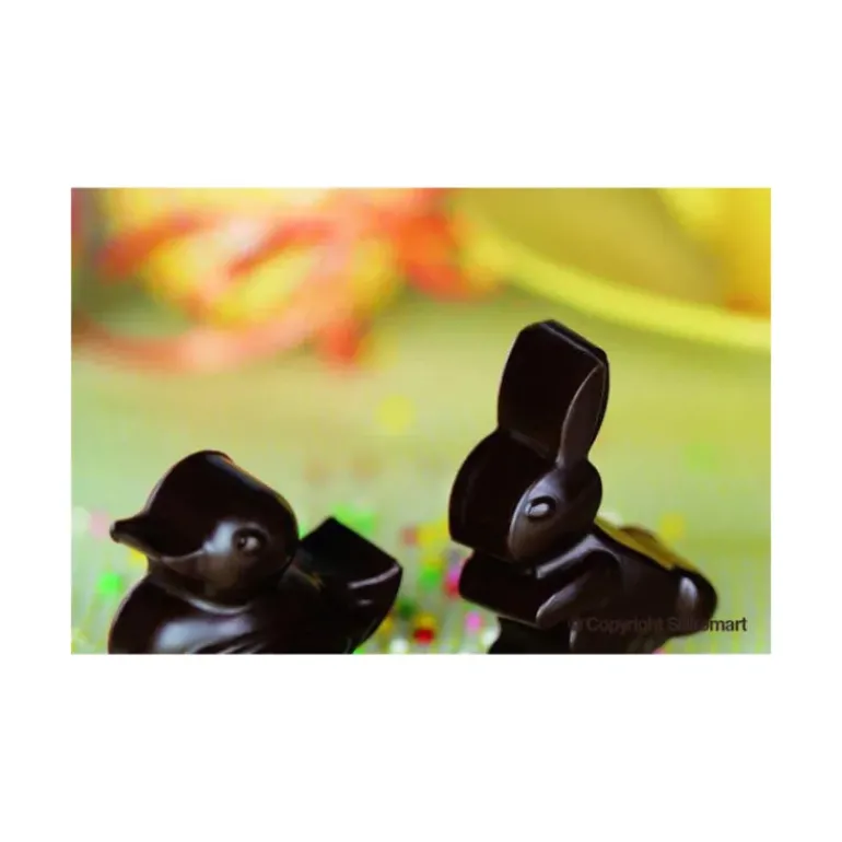 Moule à Chocolat 14 Sujets de Pâques Easy Choc - Silicone Spécial Chocolat