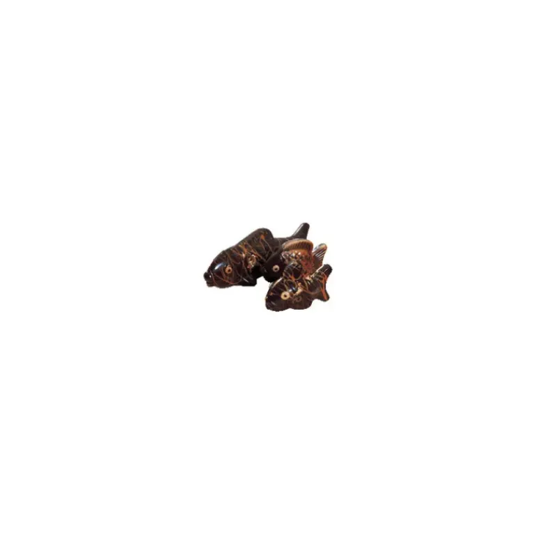 Moule à Chocolat Assortiment Poissons 245 et 110 mm (x6) Barry