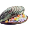 Moule à Chocolat Coquillage 14,6 cm