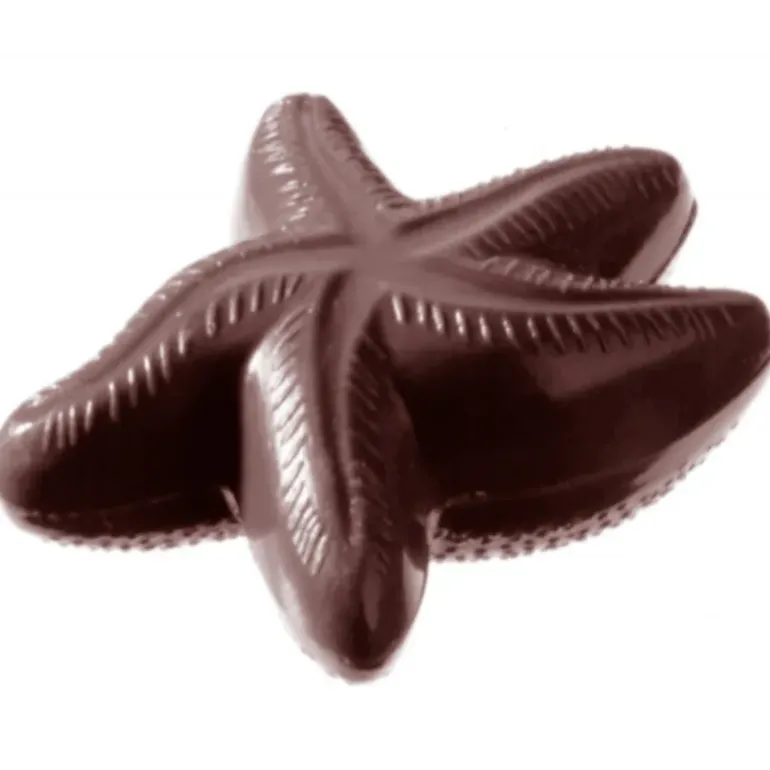 Moule à Chocolat Etoile de Mer (x2) Chocolate World