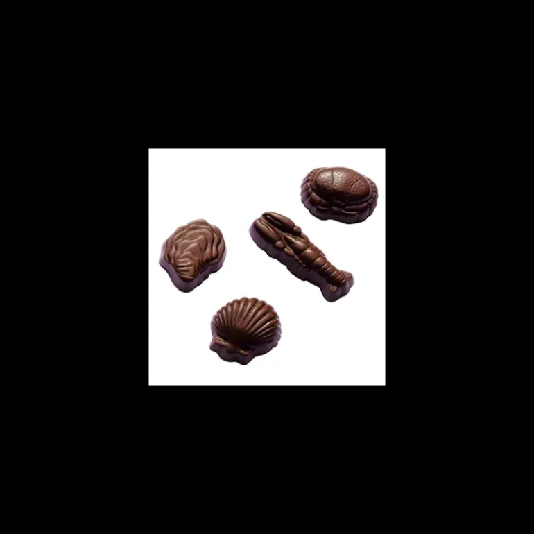 Moule Chocolat Coquillages et Crustacés (x24) Barry