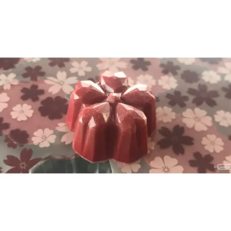 Moule Chocolat Fleur de Cerisier Sakura Kohei Ogata (x21) Chocolate World