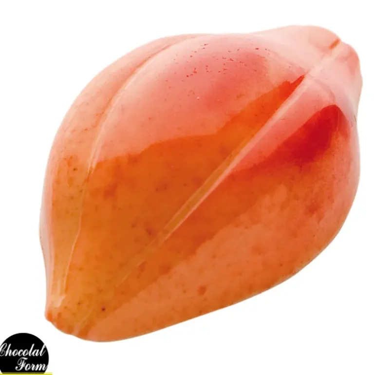 Moule Chocolat Fève Cacao 47,5 mm (x24) Chocolat Form