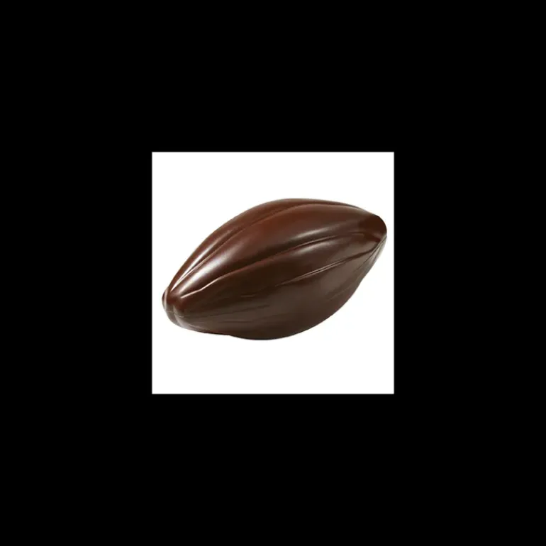Moule Chocolat Grosse Cabosse 195 mm (x2) Barry