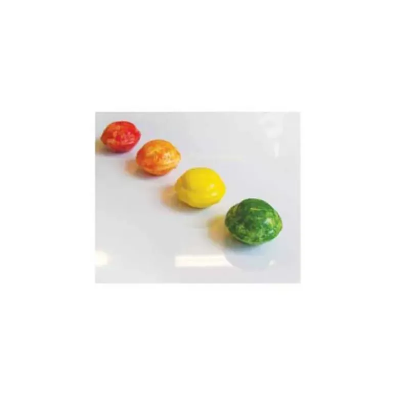 Moule Chocolat Macarons (x18) Chocolate World