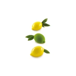 Moule Silicone 4 Citrons 120 ml Silikomart Professional