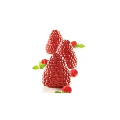 Moule Silicone 5 Mûres et Framboises 110ml Silikomart Professional