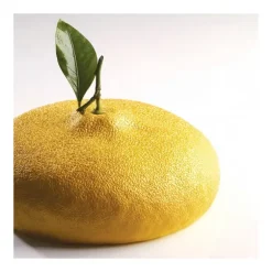 Moule Silicone Citron 1215 ml Cédric Grolet Pavoni
