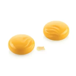 Moule Silicone Océan Ø 7 x H 3 cm (x6) Silikomart