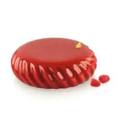 Moule Silicone Samouraï Ø 14,5 x H 4,3 cm Silikomart