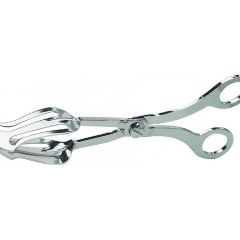 Pince à gâteaux chromée 21 cm Mallard Ferrière