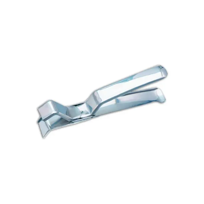Pince porte-plats Inox 19 cm Mallard Ferrière