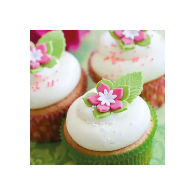 Préparation pour Cupcakes Sans Gluten 500 g Funcakes