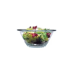 Saladier en Verre 9 cm Mr Chef