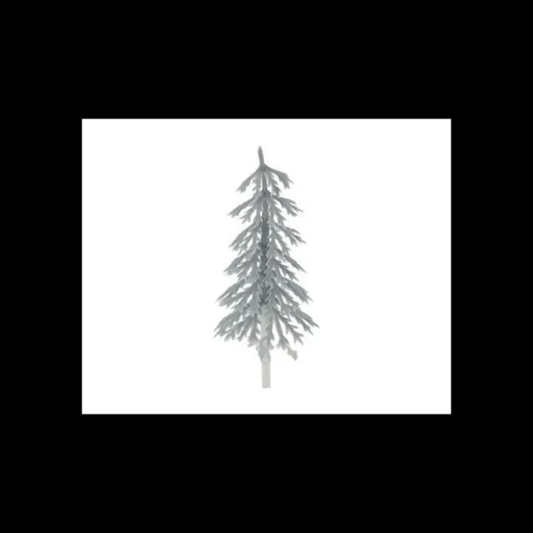 Sapin Argent Volume x144