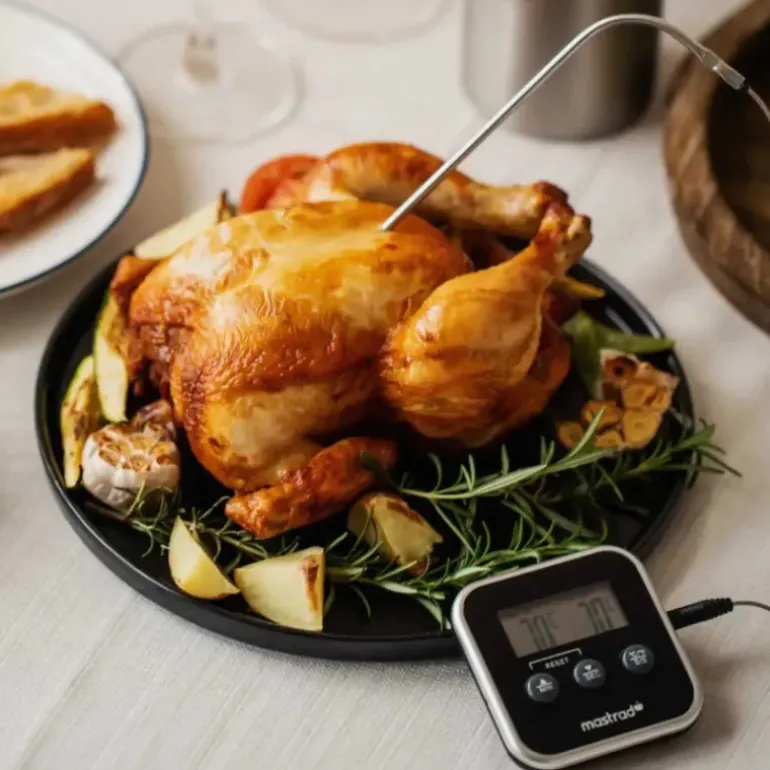 Thermomètre Cuisson à Sonde Inox M Square Mastrad