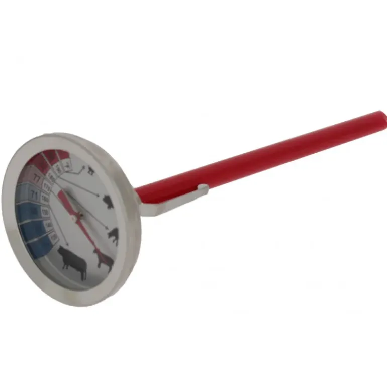Thermomètre Cuisson Viande à Sonde