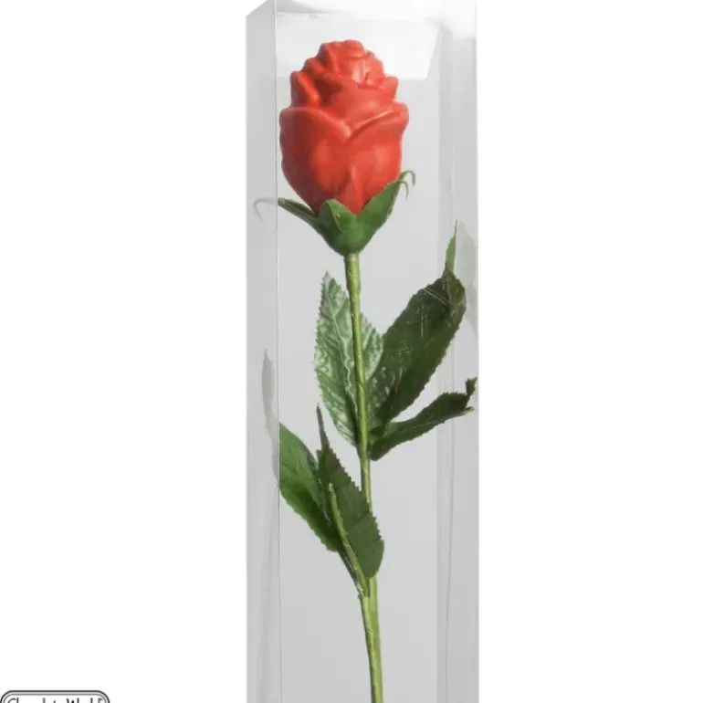 Tiges pour Rose en Chocolat x200 Chocolate World