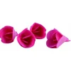 Violettes en azyme assorties Ø3,3 cm (x72) Mallard Ferrière